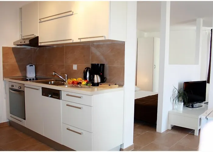 Ercegovic 普利莫顿