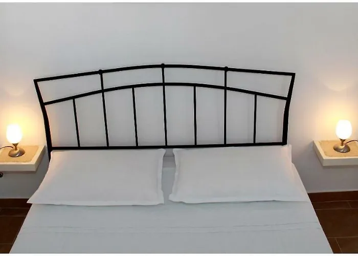 Ercegovic 普利莫顿